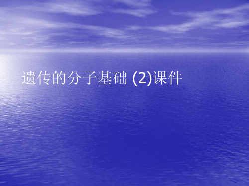 遗传的分子基础 (2)PPT讲稿
