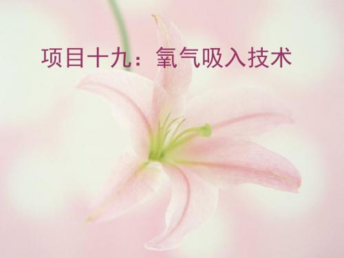 氧气吸入技术PPT课件