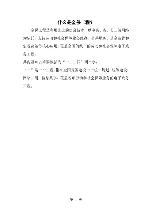 什么是金保工程？-word范文文档