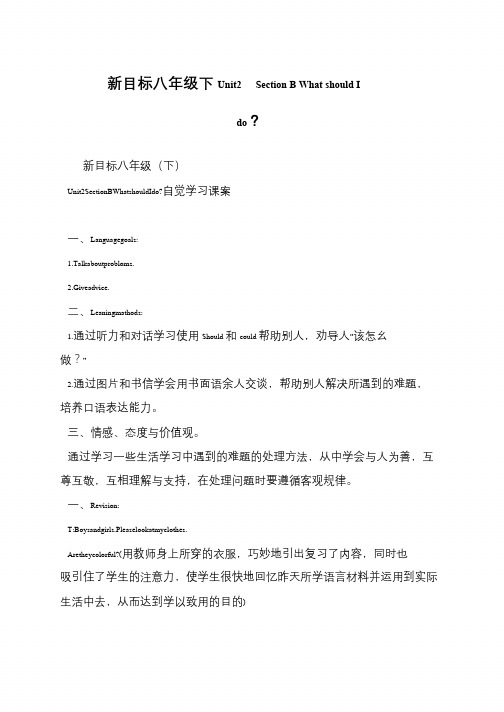 新目标八年级下Unit2  Section B What should I do？