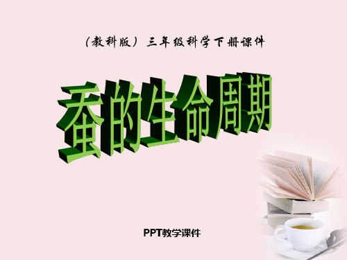1蚕的生命周期PPT课件