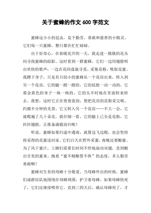 关于蜜蜂的作文600字范文