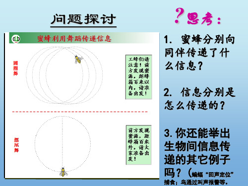 人教版高中生物必修三第5章第4节 生态系统的信息传递  课件(共26张PPT)