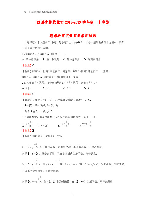 2018-2019学年四川省攀枝花市高一上学期期末教学质量监测化学试题(答案+解析)