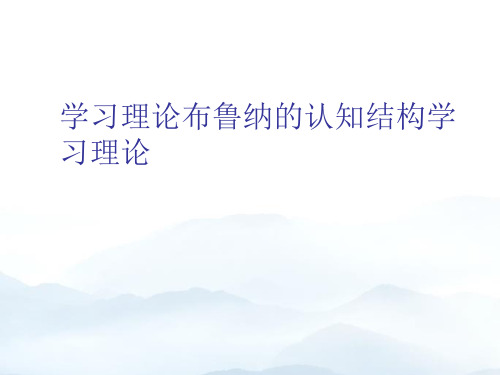 学习理论布鲁纳的认知结构学习理论优质文档