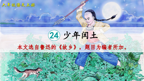 人教版六年级语文上册第24课《少年闰土》优秀课件