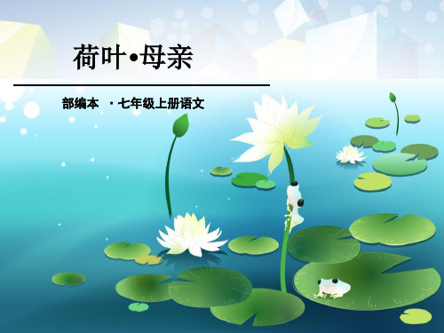 《荷叶·母亲》PPT 图文