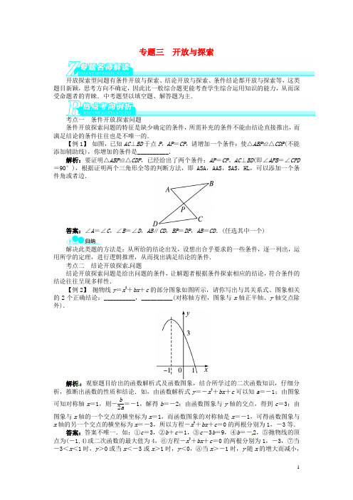 【备考2014 志鸿优化设计】2013版中考数学总复习 专题三 开放与探索(专题讲练+锁定考试目标+
