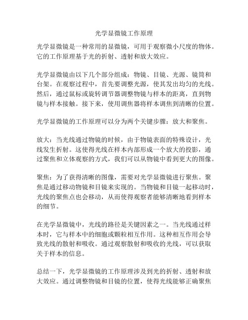 光学显微镜工作原理