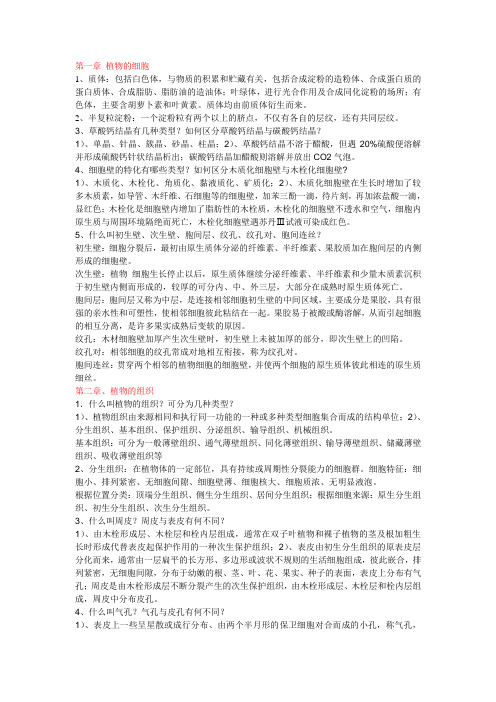 药用植物学小整