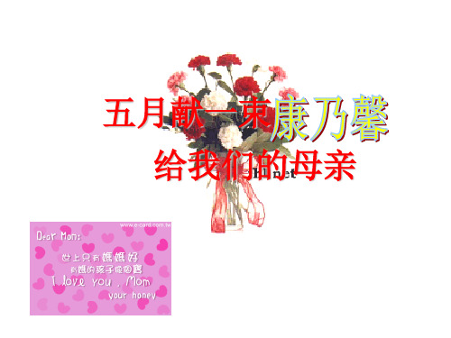 新版保险早会母亲节专题宣导