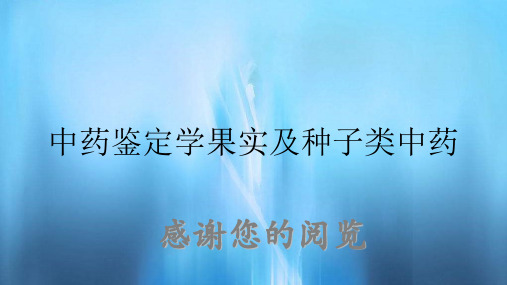 中药鉴定学果实及种子类中药