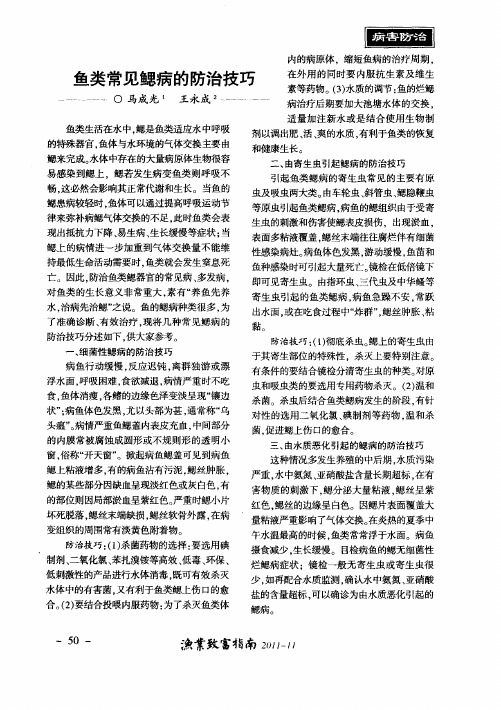 鱼类常见鳃病的防治技巧