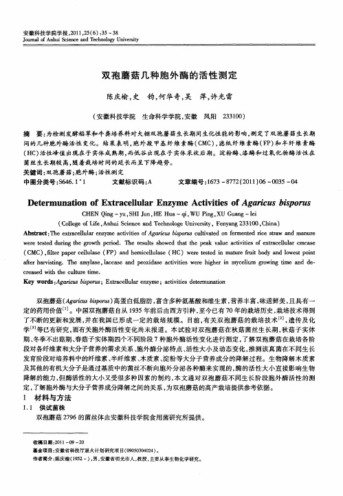 双孢蘑菇几种胞外酶的活性测定