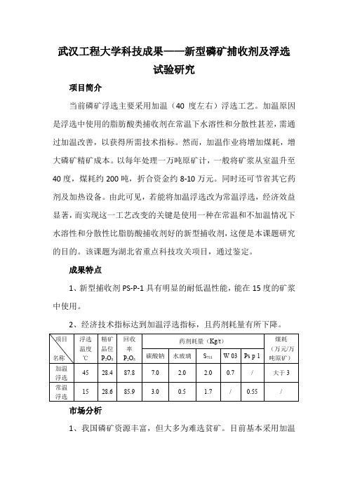 武汉工程大学科技成果——新型磷矿捕收剂及浮选试验研究