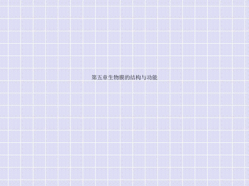 第五章生物膜的结构与功能