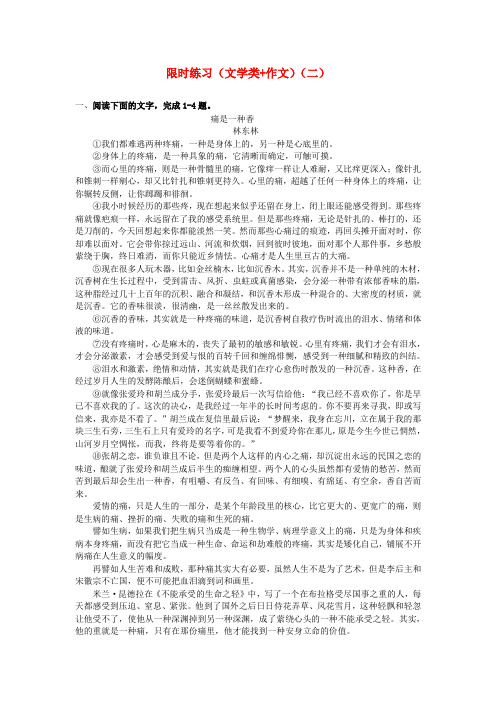 四川省宜宾市南溪区第二中学校高考语文专题复习 文学类作文限时训练2