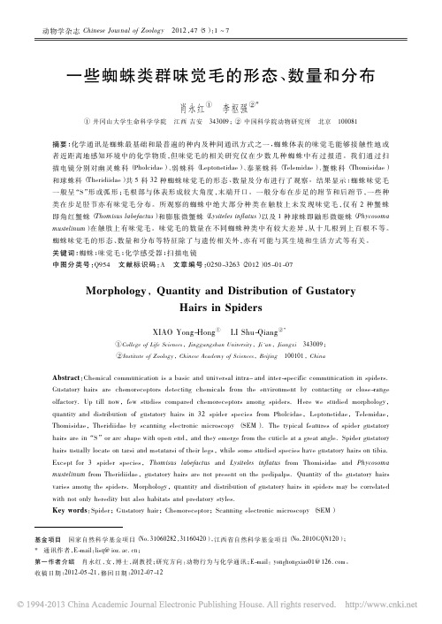 一些蜘蛛类群味觉毛的形态_数量和分布_肖永红