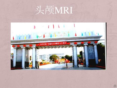 头颅MRI常识PPT课件