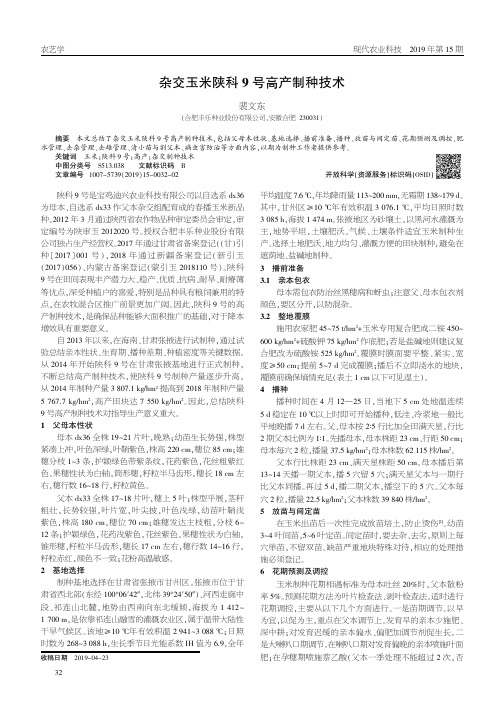 杂交玉米陕科9号高产制种技术