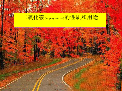 九年级化学《二氧化碳的性质》课件