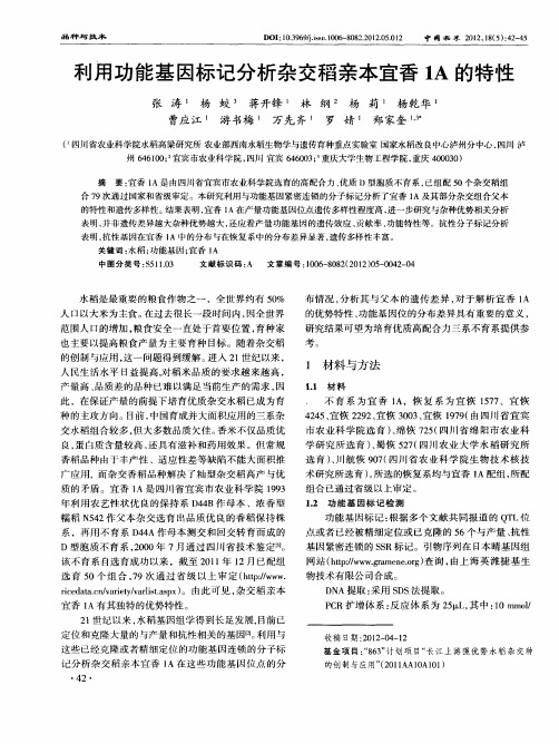 利用功能基因标记分析杂交稻亲本宜香1A的特性