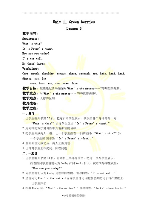 北师大版英语三年级下册教案 Unit 11 lesson3-4