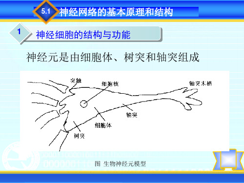 智能控制系统 -神经网络-PPT课件