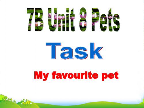 牛津译林版7上Unit8Task课件 (共18张PPT)