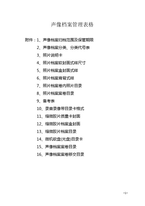 集团声像档案管理表格
