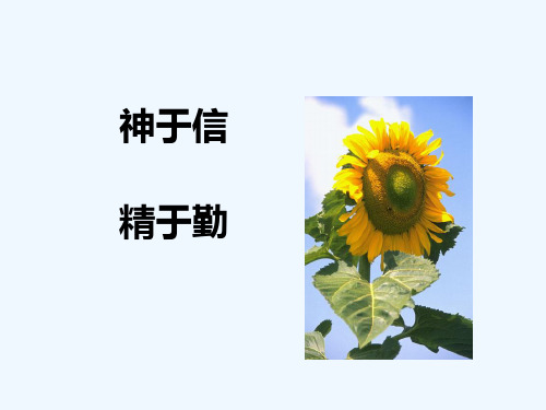 人力资源管理及企业文化咨询项目建议书