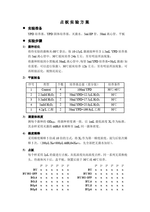 点板实验方案