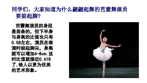 4.4.4+探索三角形相似的条件——黄金分割+课件++2024-—2025学年北师大版数学九年级上册