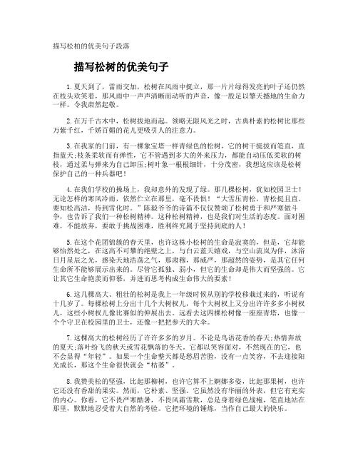 描写松柏的优美句子段落