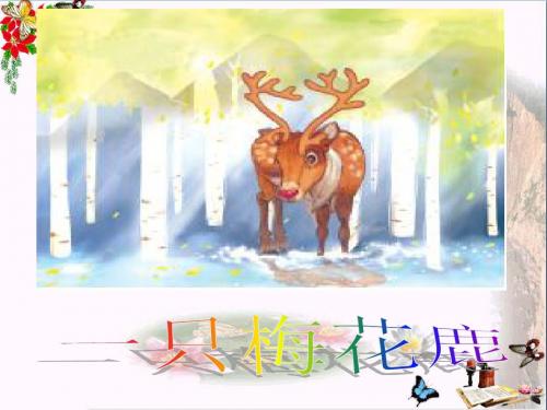 三年级语文上册第六单元一只梅花鹿PPT课件1西师大版
