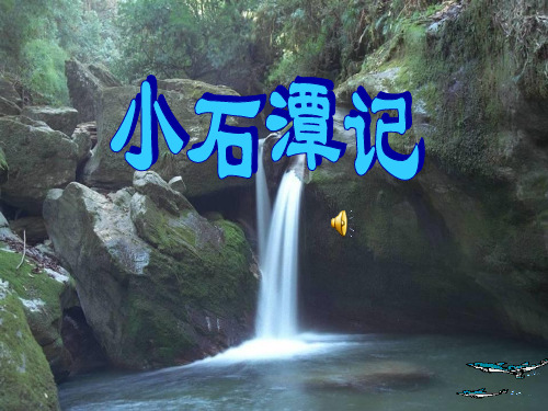 【北师大版】语文八年级上册：第5课《小石潭记》ppt课件(2)