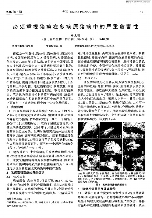 必须重视猪瘟在多病原猪病中的严重危害性