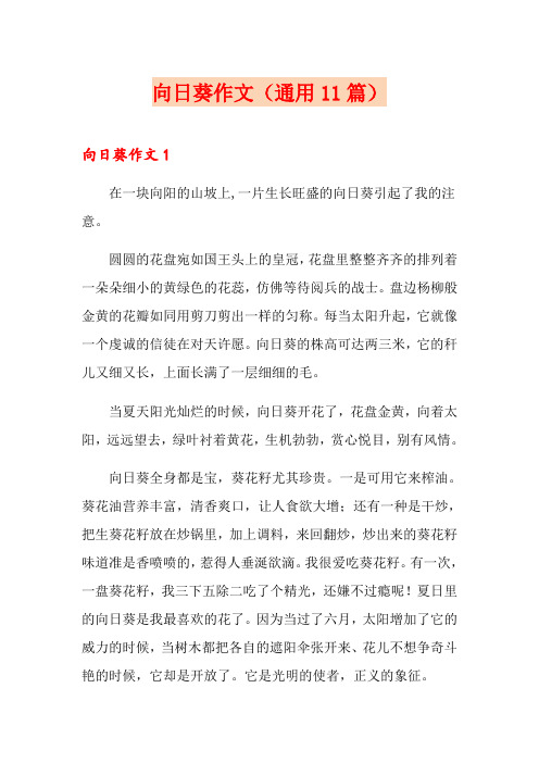 向日葵作文(通用11篇)