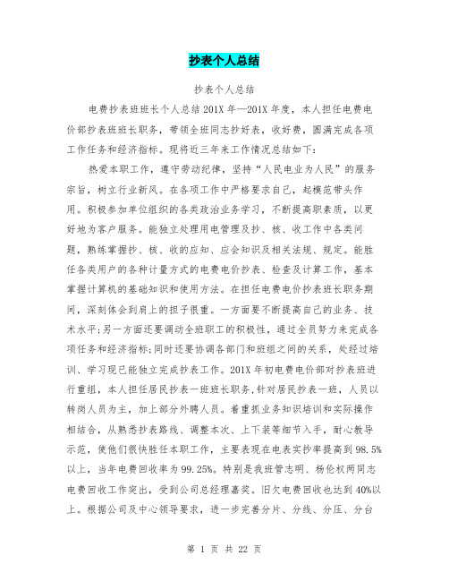 抄表个人总结