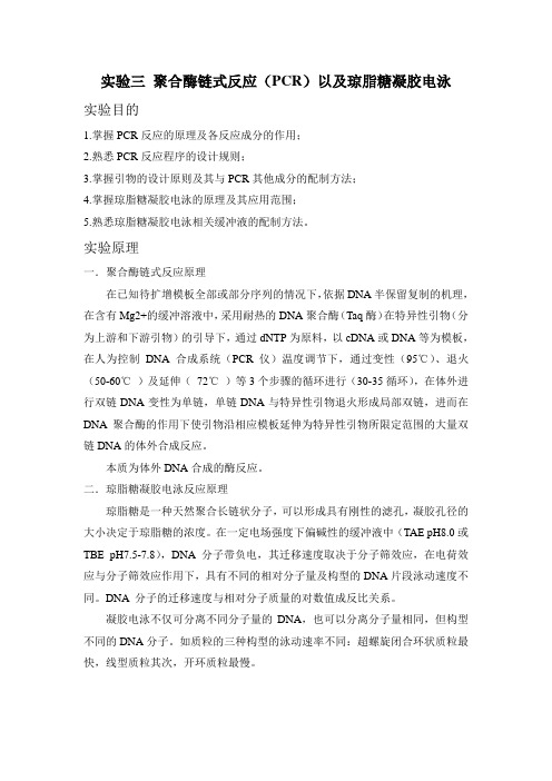 聚合酶链式反应和琼脂糖凝胶电泳   实验报告