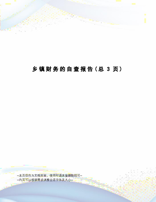 乡镇财务的自查报告