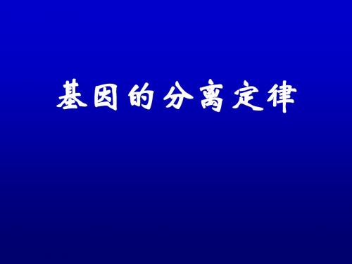 2017年高三生物一轮复习基因分离定律课件