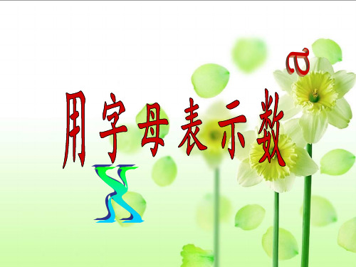 五年级上册数学课件-8 用字母表示数丨苏教版 (共15张PPT)