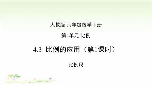 《比例的应用》ppt—人教版小学数学比例的应用完美课件4