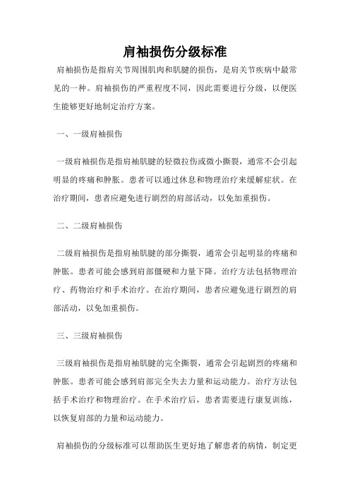 肩袖损伤分级标准