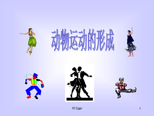 《动物运动的形成》PPT课件