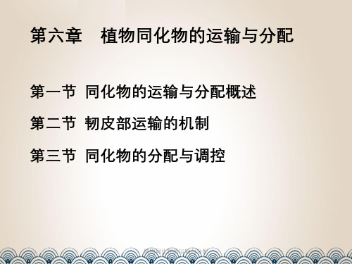 植物同化物的运输与分配