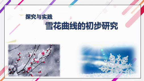 雪花曲线的初步研究 课件