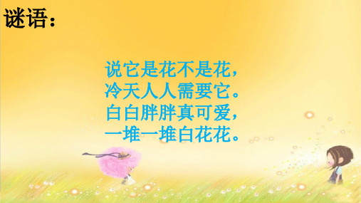【新教材】部编版语文棉花姑娘PPT精品课件1