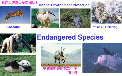 北师大课标版高中英语选修8Unit 22  Lesson 2 (共26张PPT)